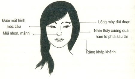 nhan-tuong-hoc-nhung-dac-diem-xau-tren-guong-mat-phu-nu-27-.7951