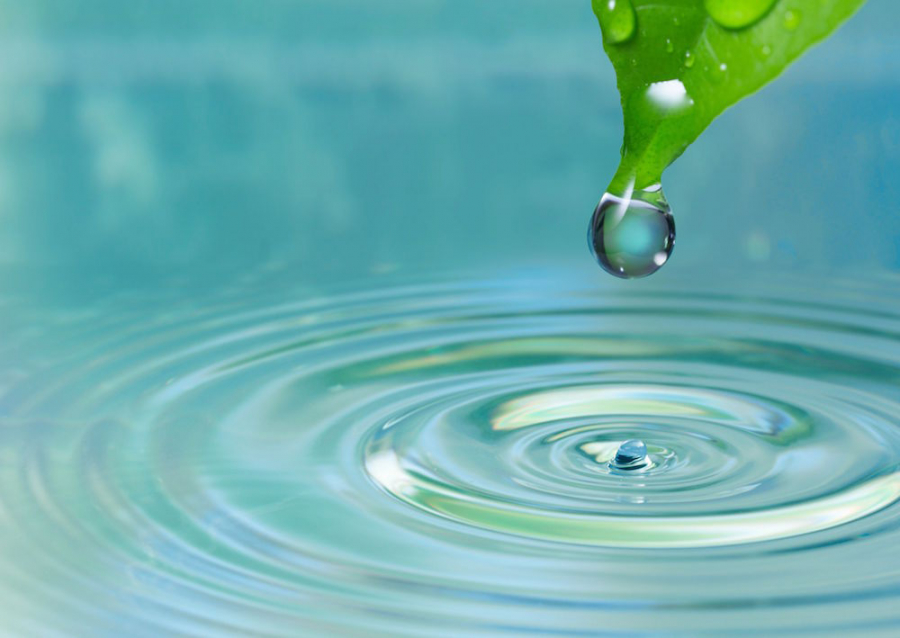 leaf-with-water-droplet
