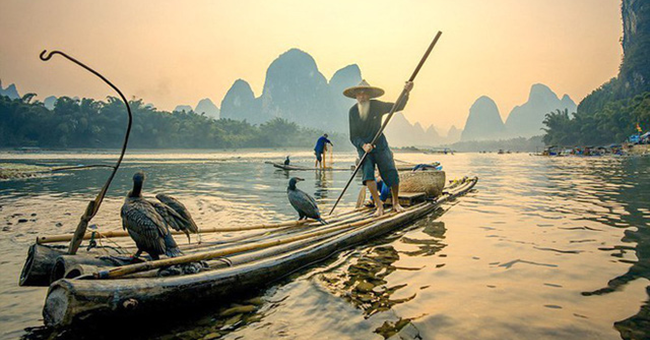 phongthuy