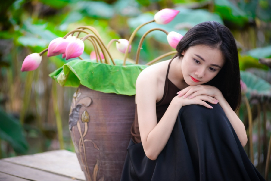 4628_mua_hoa_sen4
