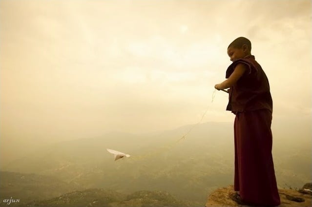 little-monk-kite