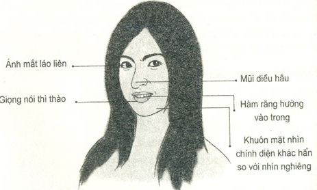VN_15b8e36ba979a10d19ca3533t08ca5daa