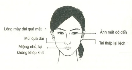 VN_15b8e36c497478ae19ca3668t08ca5db4