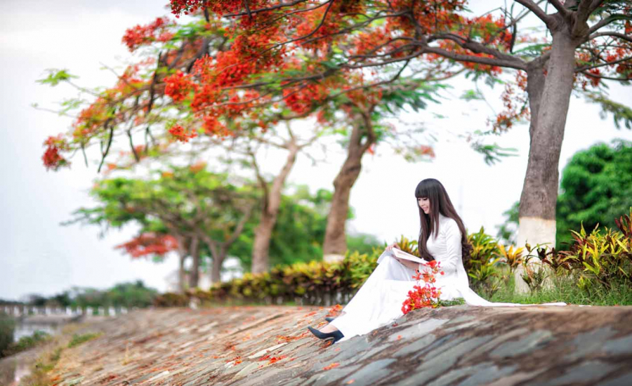141031image00ddd3