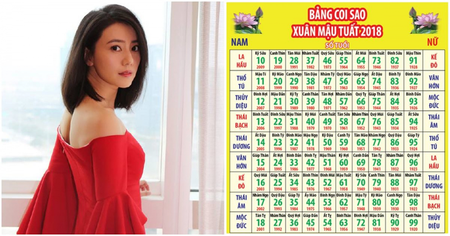 VN_15bd81f73b88c40e19d16856t09144663