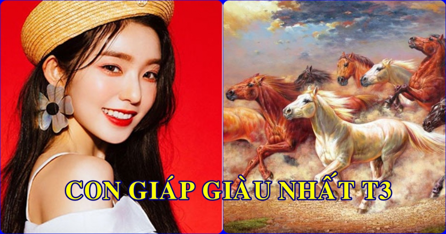 VN_15c6e52a0973189c19d05940t09aa7990