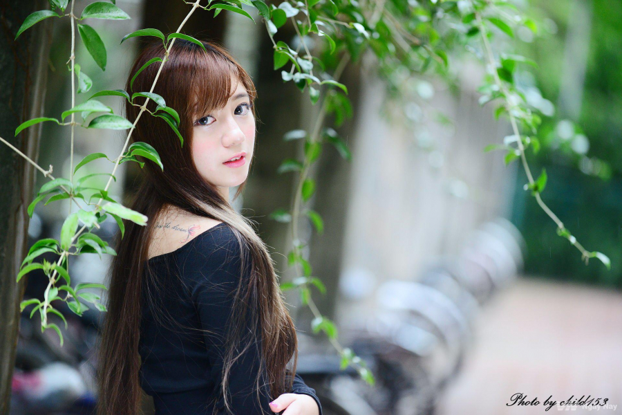 1f8142b47c820cd2483a32f687f7331a