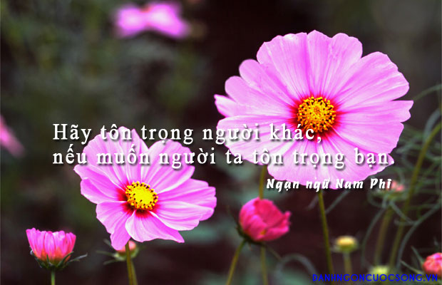 1_danh-ngon-tinh-cach-201