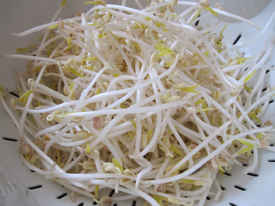 gia-do-tri-nam