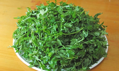 ngai-cuu