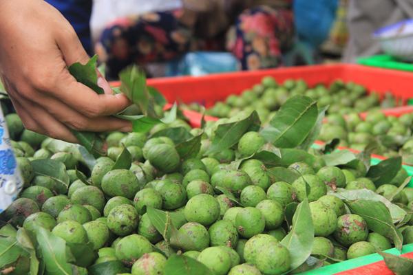 mua-he-khat-chay-dung-bo-qua-tac-dung-giai-nhiet-tuyet-voi-cua-qua-sau-6-tac-dung-tuyet-voi-cua-qua-sau-12-1530429843-452-width600height400