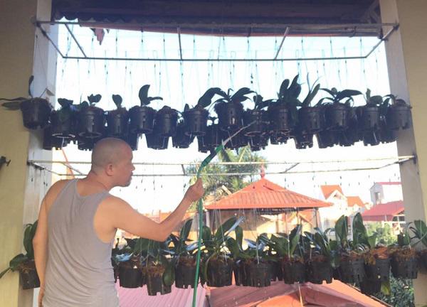 Thời gian rảnh rỗi anh cũng không quen chăm sóc chúng
