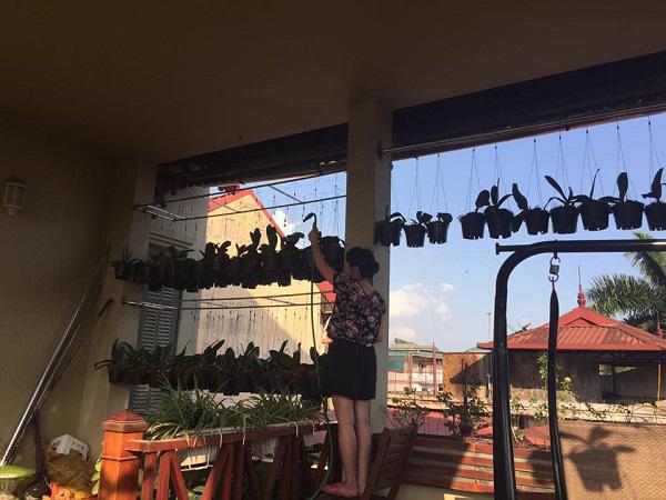  Trên sân thượng là một vườn lan xanh tốt