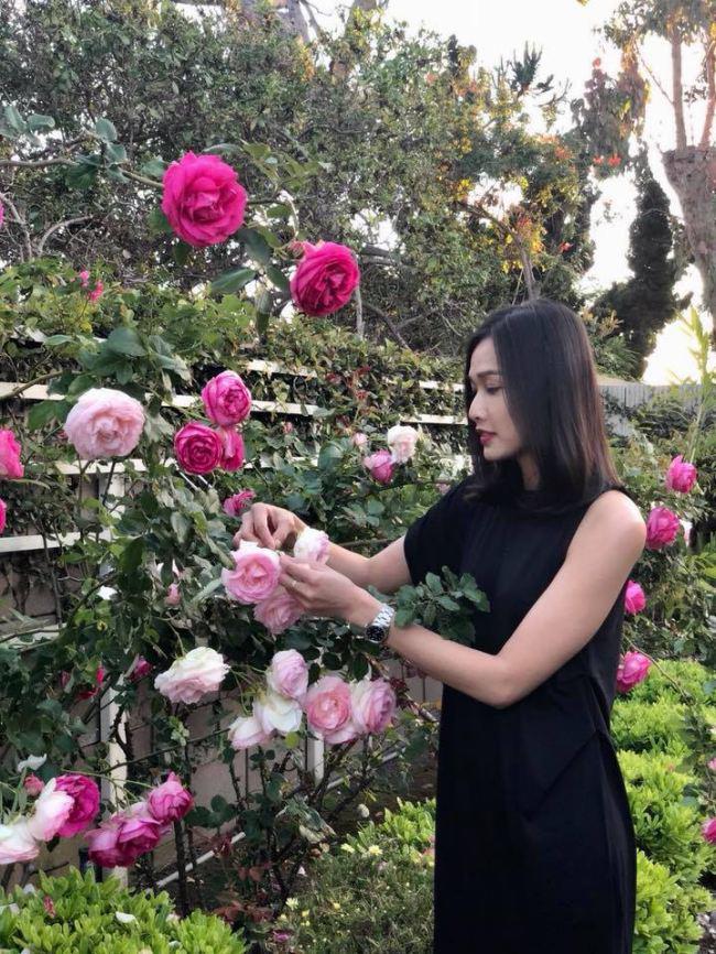 Dương Mỹ Linh bên vườn hồng rực rỡ màu sắc