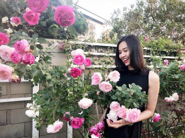 Người đẹp rất khéo tay khi chăm sóc được một vườn hoa vô cùng rực rỡ