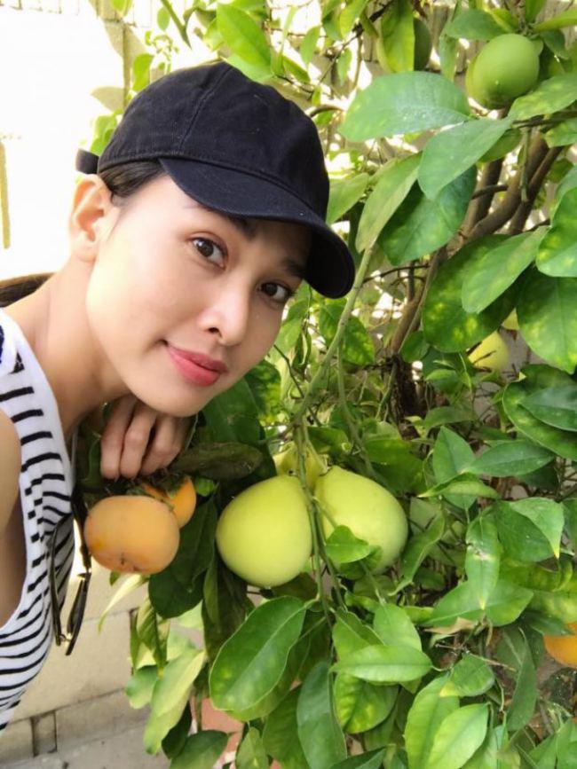 Được biết, ngoài giàn hoa hồng nở rực rỡ, vườn nhà Dương Mỹ Linh tại Mỹ còn có rất nhiều loại cây ăn trái như đào, táo… và các loại rau xanh để phục vụ Shbet111 slot, casino, thể thao, xổ số.