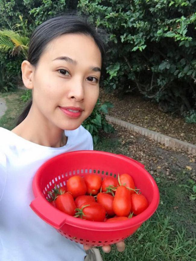 Không chỉ hoa quả mà các loại rau củ quả cũng được cô trồng rất nhiều