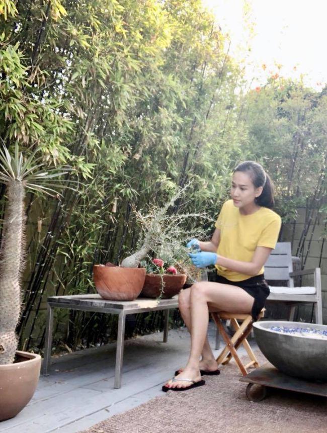 Người đẹp còn khiến độc giả thích thú hơn khi tự tay chăm sóc cây cảnh để trang trí ở vườn nhà.