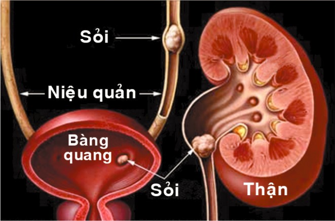 dau-hieu-an-uong-sai-cach-6