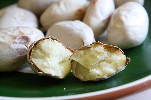 20100805jackfruit3