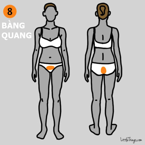 9-vi-tri-dau-tren-co-the-dung-chu-quan-vi-co-the-de-doa-den-tinh-mang-1acd3b