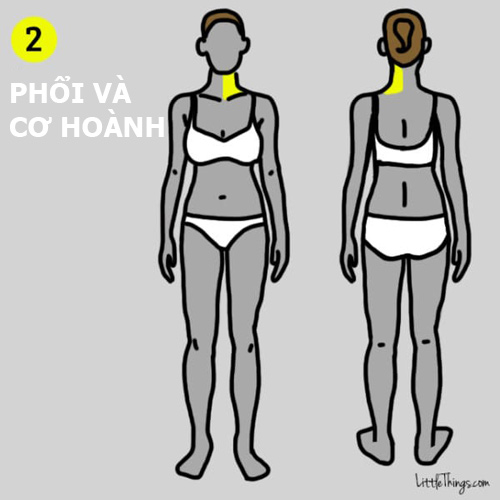 9-vi-tri-dau-tren-co-the-dung-chu-quan-vi-co-the-de-doa-den-tinh-mang-5fc996