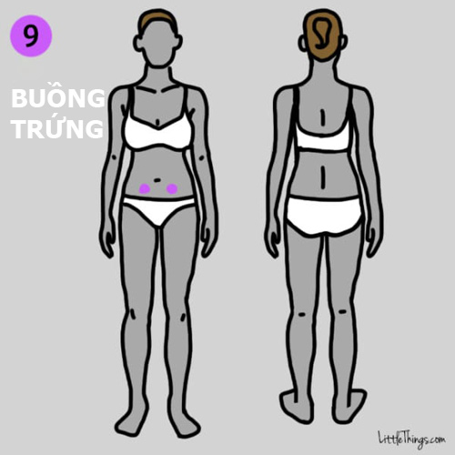 9-vi-tri-dau-tren-co-the-dung-chu-quan-vi-co-the-de-doa-den-tinh-mang-93afd3