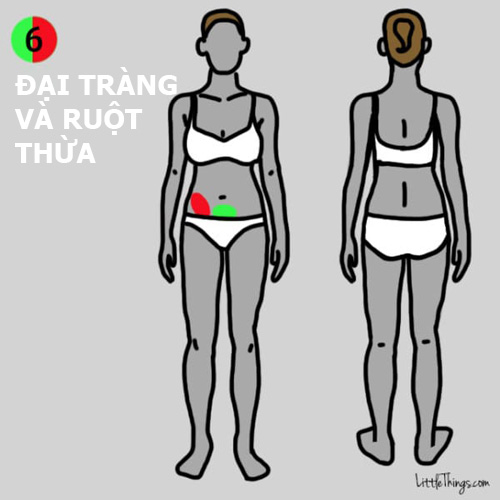 9-vi-tri-dau-tren-co-the-dung-chu-quan-vi-co-the-de-doa-den-tinh-mang-eb1a9d