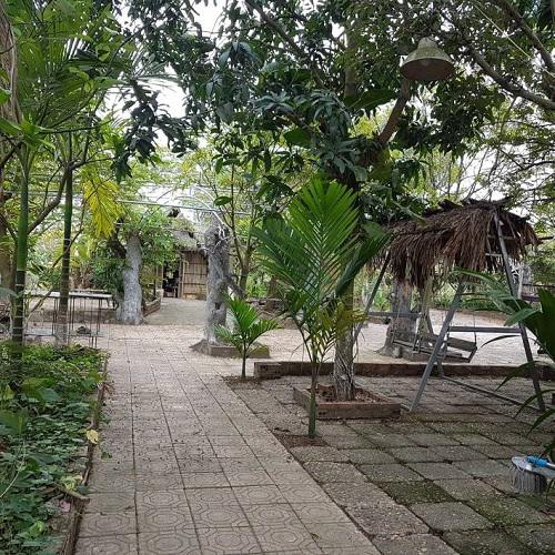 Không đơn giản khi tự tay chăm sóc để có một không gian xanh phủ kín diện tích 10.000m2 của danh hài đất Bắc.