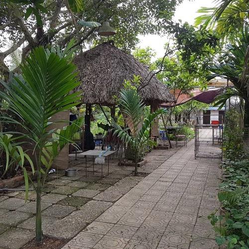 Với nghệ sĩ Giang còi, hạnh phúc là được làm điều mình thích.