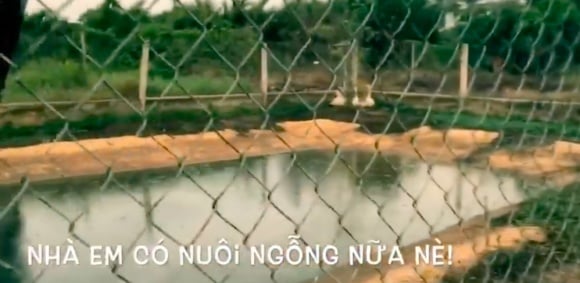 nha-ban-trai-hoa-minzy-5-ngoisao.vn-w998-h488