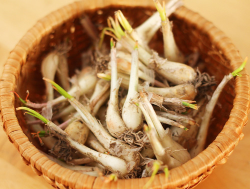 nhung-meo-vat-nho-ma-co-vo-lam-don-gian-hoa-cuoc-song-cua-chi-em-059d3f