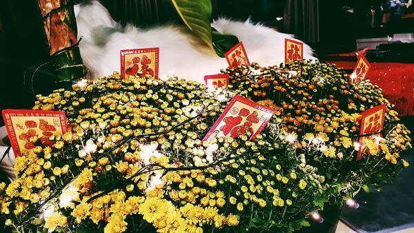 Nữ diễn viên Gạo Nếp Gạo Tẻ bày nhiều loại cây, hoa cảnh trong nhà.