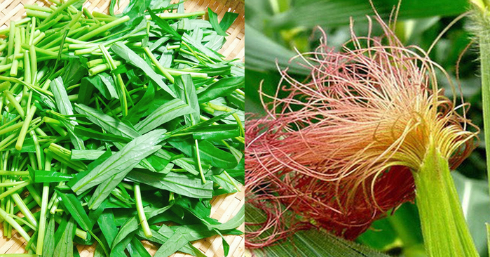 cach-lam-3-mon-an-tu-rau-muong-giup-chua-tri-benh-nhieu-nguoi-mac-phai-f0d9a1