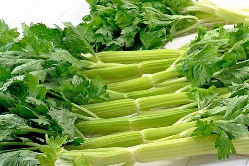 bi-quyet-trong-rau-can-tay-trong-nha-bep-00