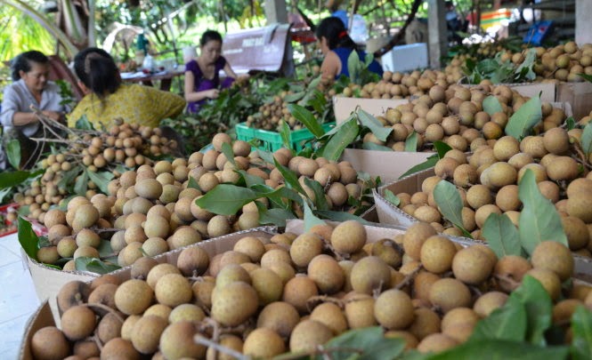 an-nhan-co-beo-khong