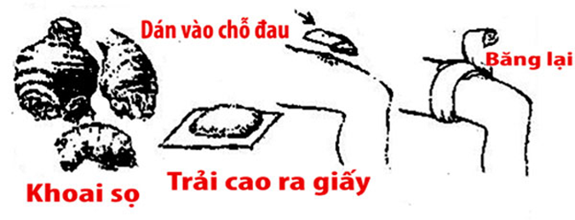 khoai-so-4