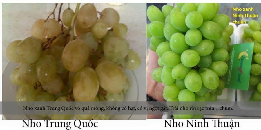 Meo-phan-biet-hanh-viet-nam-va-trung-quoc-2-sharoncuneta.com_
