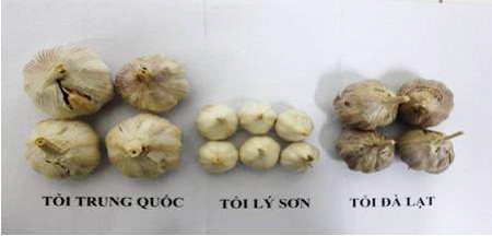 meo-phan-biet-toi-viet-nam-voi-toi-trung-quoc-1-1460104948-width450height216