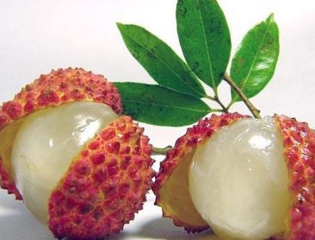Qủa vải tuy bổ nhưng cũng cực nóng. Mẹ bầu ăn nhiều dễ nổi mụn, sữa nóng và tiết ít đi. Con không thích bú và còn dễ bị rôm sảy.