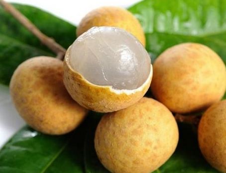 Theo Đông y, quả nhãn vị ngọt đậm, tính bình, không độc, bổ huyết dưỡng tì. Sản phụ bị suy nhược sau sinh có thể ăn một lượng nhỏ nhãn tươi hoặc nhãn sấy khô để bổ máu và bổ khí cho tì vị. Tuy nhiên, loại quả này ăn nhiều dễ bị ợ nóng, bồn chồn ruột gan, khiến sữa mẹ nóng theo, con bú vào khó chịu, quấy khóc. Ngoài ra, nó còn khiến cả mẹ lẫn con bị táo bón nữa.