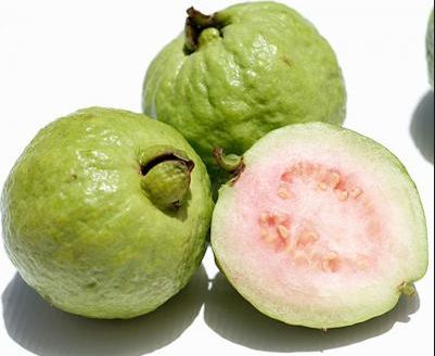 Mẹ sau sinh nên hạn chế ăn ổi vì nó có tính nóng, cứng hại răng, ăn nhiều ổi không gọt vỏ khiến hai mẹ con dễ bị táo bón nặng.
