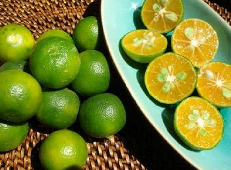 Trái tắc thuộc họ cam, quýt cung cấp thêm nhiều vitamin C trong quá trình mang thai cho mẹ. Ngoài ra, tắc cũng rất giàu canxi và các dưỡng chất như mangan, vitamin A, vitamin B2, sắt, magiê và đồng. Thêm tắc trong chế độ ăn hằng ngày sẽ giúp thai nhi tránh được nguy cơ thiếu hụt canxi, hạn chế làm cho khung xương trẻ bị biến dạng.
