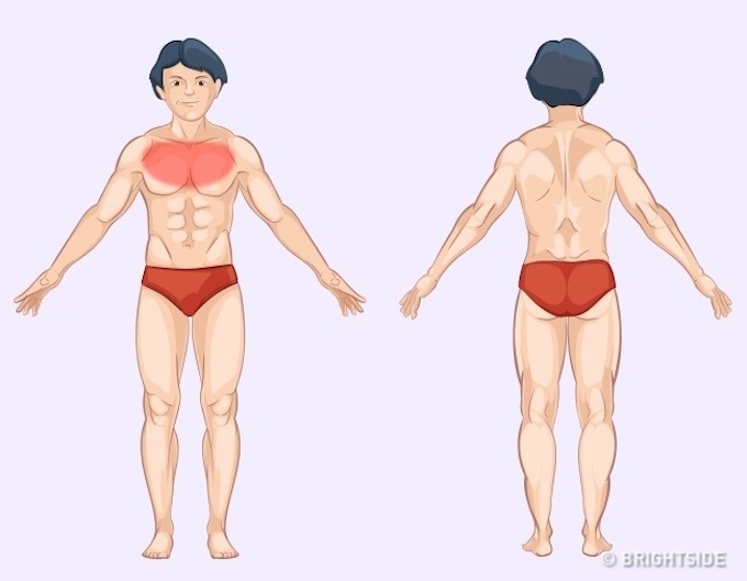 Phổi: Biểu hiện của các vấn đề về phổi là các cơn đau nhói lồng ngực, ho và khó thở.