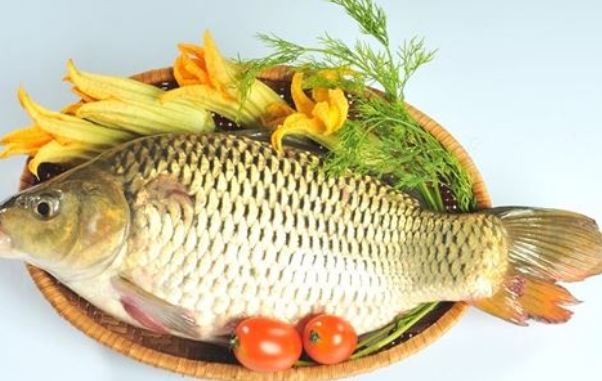 Cá chép từ lâu đã nổi tiếng là một loại thực phẩm rất tốt cho bà bầu bị động thai. Cá chép có tác dụng bổ tỳ vị, lợi tiểu, thông sữa, chữa ho, lở loét… đồng thời rất tốt trong việc an thai, bổ sung thêm những chất dinh dưỡng tốt cho thai nhi phát triển khỏe mạnh. Trong thịt cá chép có chứa nhiều dưỡng chất như axit lutamic, glycine, chất béo, arginine. Hàm lượng protein trong thịt cá chép có sự khác nhau tùy theo mùa và sự thay đổi của thời tiết. 