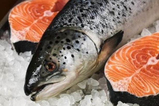 Cá hồi là nguồn cung cấp DHA tốt nhất cho mẹ bầu. Axit béo omega-3 giúp não bộ và hệ thần kinh của bé phát triển. Các Shbet888.com tỷ lệ cược cao cũng chỉ ra rằng bà bầu ăn nhiều cá thì não bộ của thai nhi càng phát triển. Tuy nhiên, các mẹ chỉ nên ăn khoảng 360 gam cá hồi mỗi tuần vì mặc dù cá hồi có ít hàm lượng thuỷ ngân nhưng nếu ăn hàng ngày có thể tích tụ một lượng lớn thuỷ ngân trong Sh88bet đăng ký miễn phí.