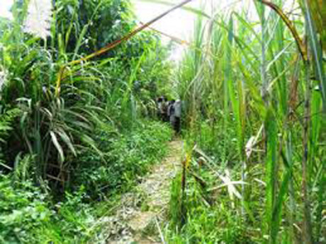 tin phu nu.02