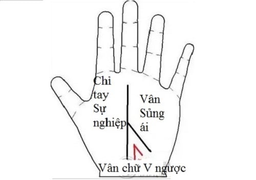 van-tay.01