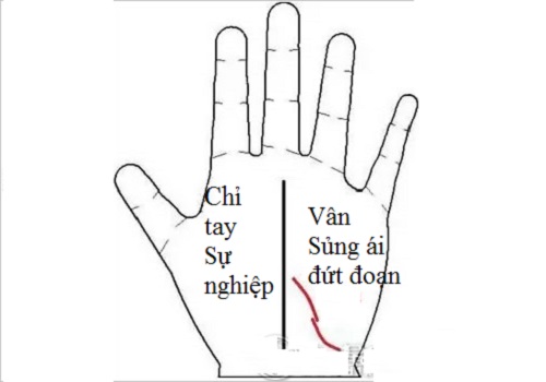 van-tay.03