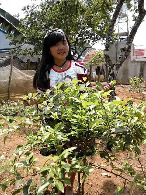 diem-tin